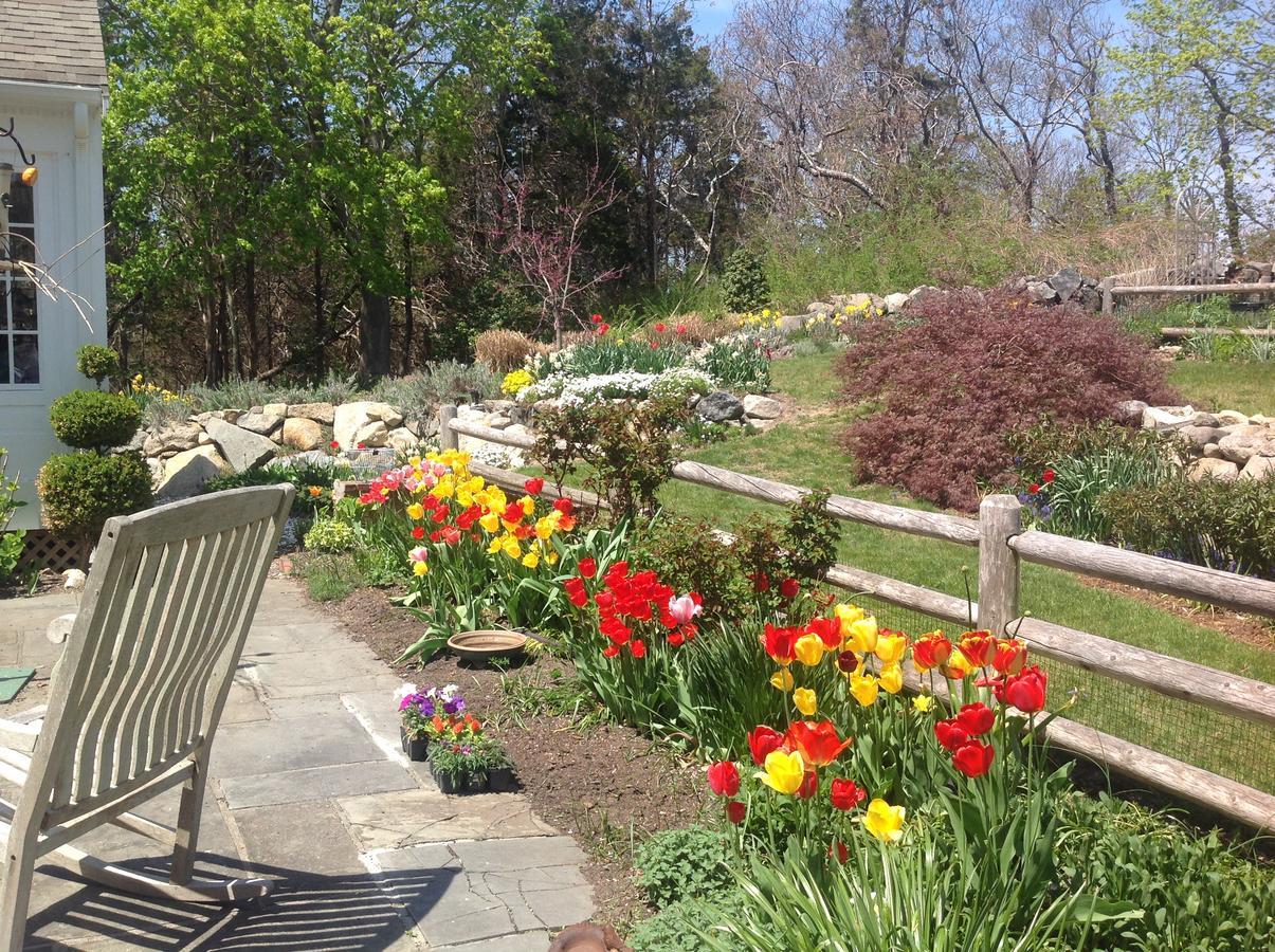 Bed and Breakfast Lavender Bay Barnstable Exterior foto