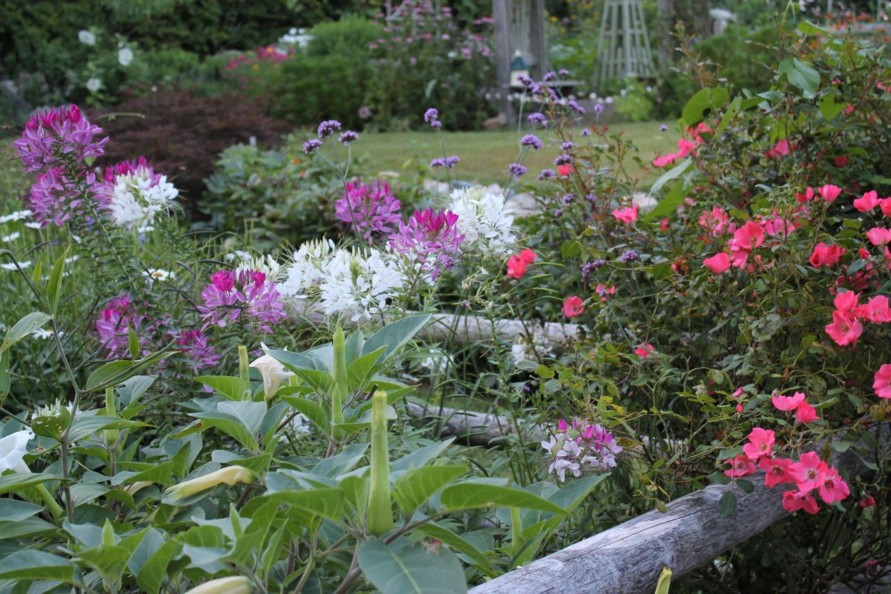 Bed and Breakfast Lavender Bay Barnstable Exterior foto