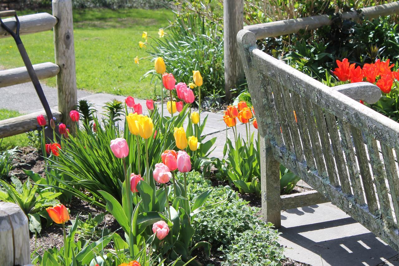 Bed and Breakfast Lavender Bay Barnstable Exterior foto