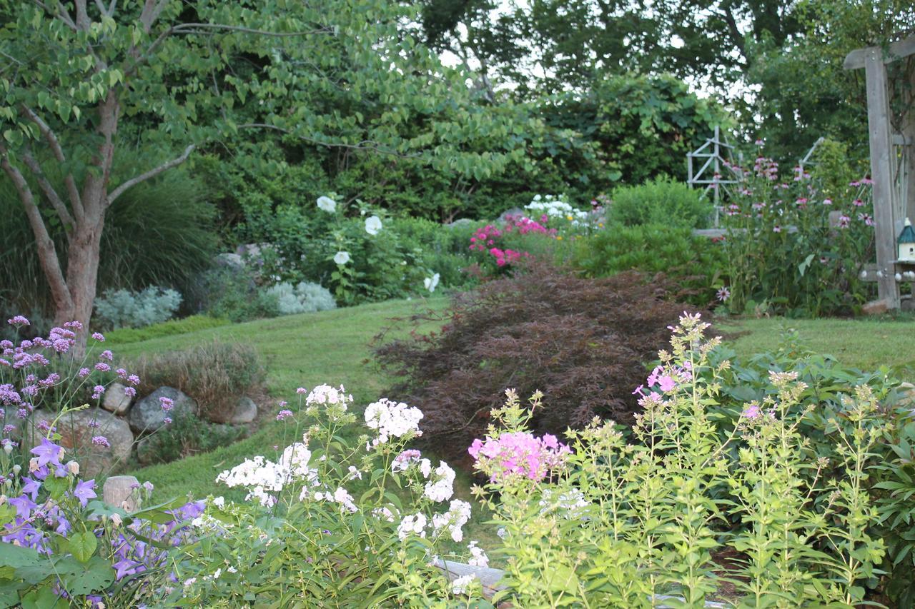 Bed and Breakfast Lavender Bay Barnstable Exterior foto